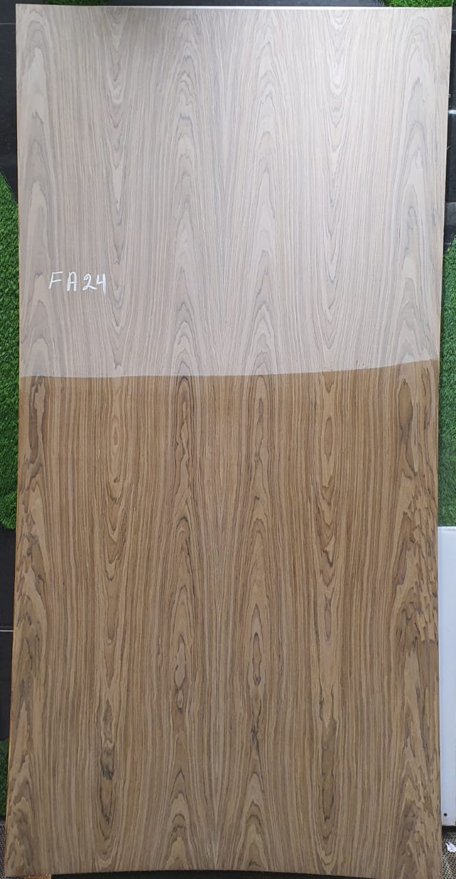 Roasted Walnut Crown FA24